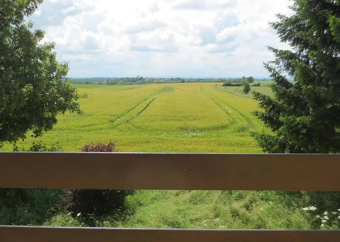 Logis L'auberge Du Gros 宾馆 2*